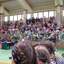 fest 33